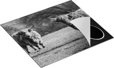 Chefcare Inductie Beschermer Twee Schotse Hooglanders op het Gras - Zwart Wit - 60x50 cm - Afdekplaat Inductie - Kookplaat Beschermer - Inductie Mat