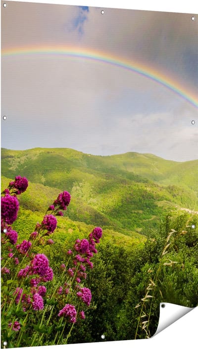 Gards Tuinposter Regenboog in de Heuvel Bossen - 100x150 cm - Tuindoek - Tuindecoratie - Wanddecoratie buiten - Tuinschilderij