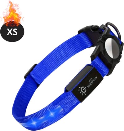 Bovista Lichtgevende Halsband - Verlichte Halsband - Lichtgevend - Hond - Kat - Lampje - Hondenhalsband Led - Oplaadbaar - Blauw - XS