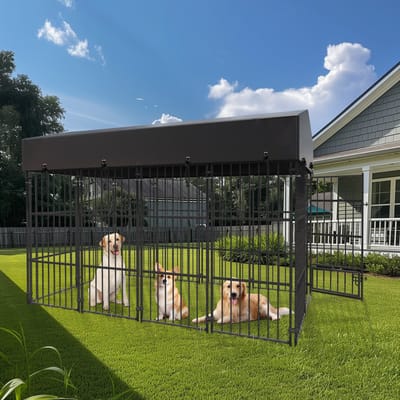 BingoPaw Gigantische Heavy Duty Hondenkennel voor Buiten Maat L - 249x120cm XXL Hondenbench met Waterdicht Dak - Voor Grote Rassen & Kippen