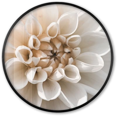 Poster in lijst Rond - Fotolijst 60x60 cm - Posters - Bloemen - Wit - Natuur - Ronde posterlijst zwart - Decoratie - Wanddecoratie woonkamer - Muurdecoratie slaapkamer