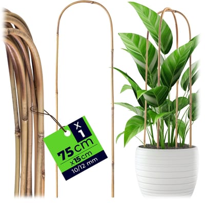 KADAX bamboepaal in U-vorm, 75cm x 10/12mm x 15cm, bamboe klimboog, stabiele klimsteun in boogvorm, plantstok voor klimplanten