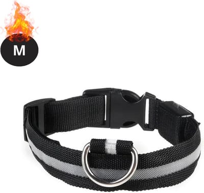 Bovista Lichtgevende Halsband - Verlichte Halsband - Lichtgevend - Hond - Kat - Lampje - Hondenhalsband Led - Wit - M