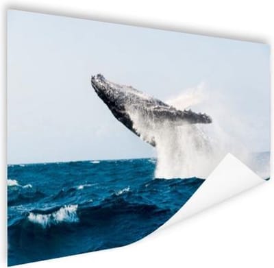 Walvis springt achterover in blauw water Poster 180x120 cm - Foto print op Poster (wanddecoratie woonkamer / slaapkamer) XXL / Groot formaat!