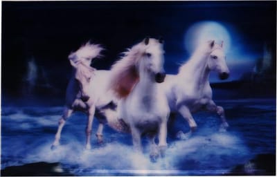 S.Y.W Poster - Witte Paarden In De Zee - Wit