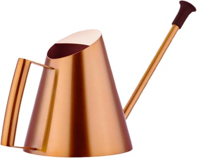 Gouden Gieter - Waterplanten Kan - Binnen Planten Verzorgen - Met Sproeier Einde - 900 ml Capaciteit - Goud Brons