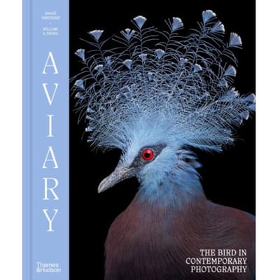 Aviary - William A. Ewing