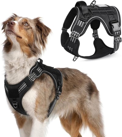 Famanu – Hondentuig No-Pull, Tactisch Hondentuig met Molle Paneel en Handgreep, Reflecterend Verstelbaar Hondentuig voor Middelgrote Hond, Borsttuig voor Honden voor Wandelen en Training, Zwart, M