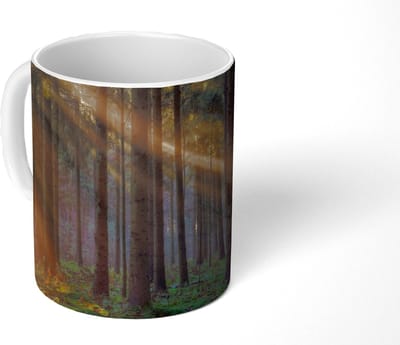Mok - Koffiemok - Bomen - Bos - Zon - Planten - Mokken - 350 ML - Beker - Koffiemokken - Theemok