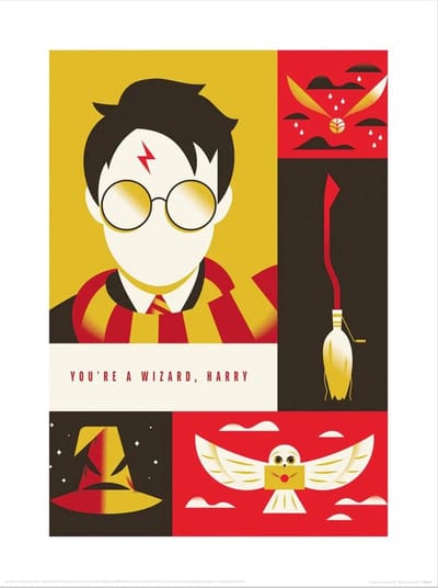 WB Art of the 100th You're a Wizard Harry Art Print 30x40cm | Poster