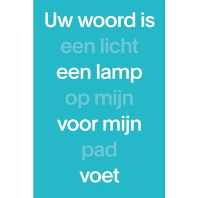 Nbv1 Paperback (Blauw)