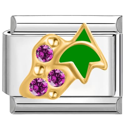 Quiges - Schakel - Bedel - 9mm - charms - Kleurrijk - Zirkonia druiven - Geschikt voor - armband - Schakelarmband - italy bedels armband