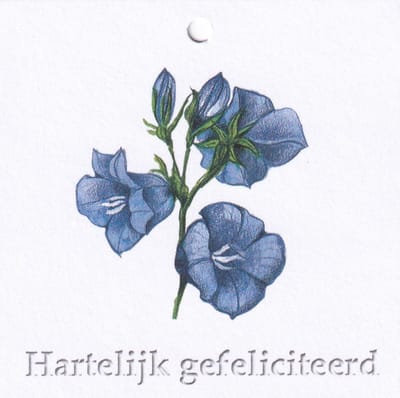 Bloemenkaartjes - 25 Stuks - Mini Kaartjes - 7 x 7 cm - Bloemist - Kadootjes - Hartelijk gefeliciteerd - JK-156