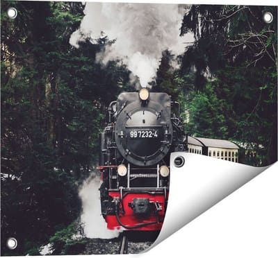 Gards Tuinposter Locomotief in de Bossen met Stoom Wolken - 50x40 cm - Tuindoek - Tuindecoratie - Wanddecoratie buiten - Tuinschilderij