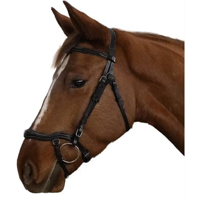 Anatomisch paardrijden toom voor paard Canter Cayman