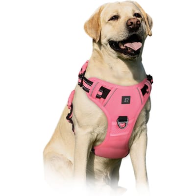 Honden-/Huisdierharnassen, Verstelbaar Reflecterend Oxford Buitenvest, Voor-/Achterlijnclips voor Kleine, Middelgrote, Grote, Extra Grote Honden, XL