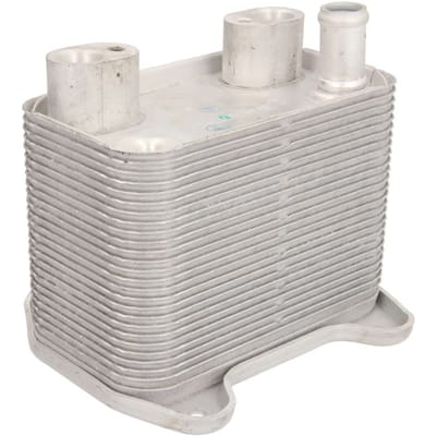 Olie radiator, motorolie THERMOTEC D4M010TT