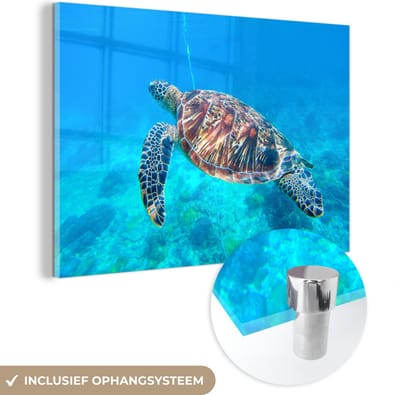 MuchoWow® Glasschilderij 120x80 cm - Schilderij acrylglas - Schildpad - Zee - Blauw - Foto op glas - Muurdecoratie woonkamer - Wanddecoratie slaapkamer - Schilderijen