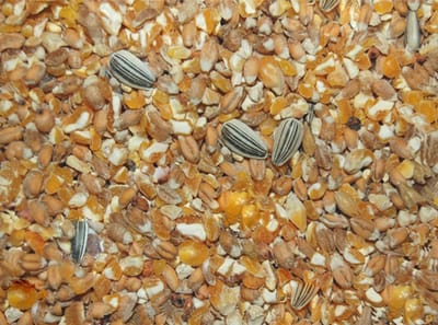 Wielink Scharrelgraan 20KG