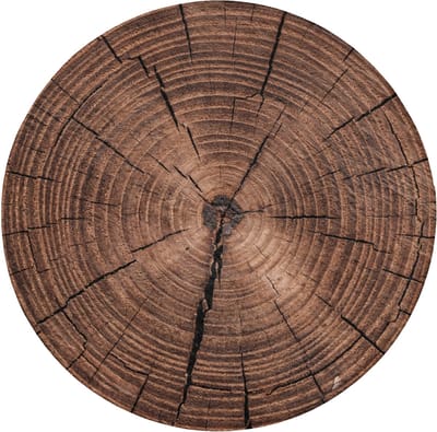 Badmat rond 70x70 cm - Antislip - Boom - Ringen - Bruin - Badmatten voor badkamer - Badkamermat - Douchemat - Ronde badkamer mat