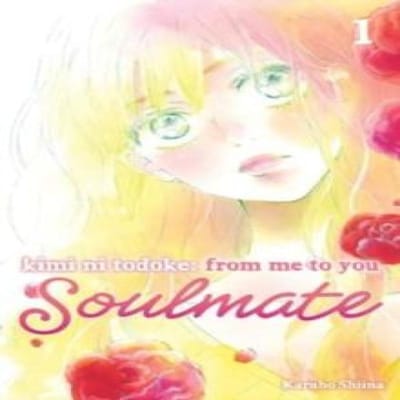Kimi ni Todoke Van Mij naar Jou Soulmate Deel. 1 door Karuho Shiina Paperback Boek 9781974743742