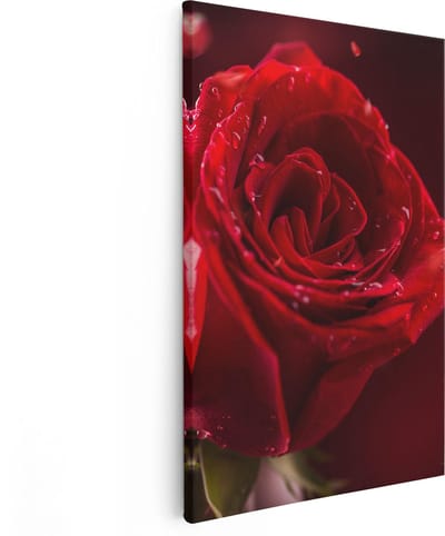 Artaza Canvas Schilderij Roos - 80x120 cm - Groot - Wanddecoratie Bloemen - Muurdecoratie Woonkamer - Schilderijen Op Canvas Rood
