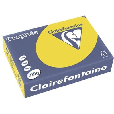 Clairefontaine Trophée Intens, gekleurd papier, A4, 210 g, 250 vel, zonnegeel