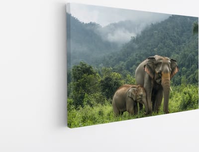 Saammp Canvas Schilderij - Olifant met kalf in thailand - Dieren - 30x20 - Foto op canvas - Wanddecoratie - muurdecoratie Woonkamer - Slaapkamer decoratie - Canvas Print