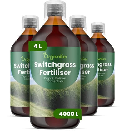 Vloeibare Meststof Voor Switchgrass 4X1 L Voor 4000 L - Npk 2-1-8 - Verbetert Stengelsterkte En Een Opgaande Groeivorm - Verhoogt En Weerbaarheid - Compatibel Met Gemengde Aanplant Van Warmseizoengrassen - Organifer