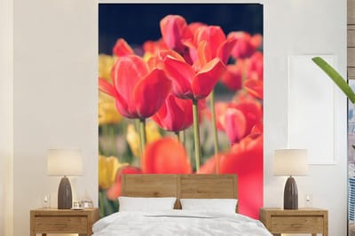 Behang - Fotobehang Tulpen - Bloemen - Natuur - Breedte 145 cm x hoogte 220 cm