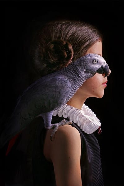 Still life portrait – 60cm x 90cm - Fotokunst op PlexiglasⓇ incl. certificaat & garantie.