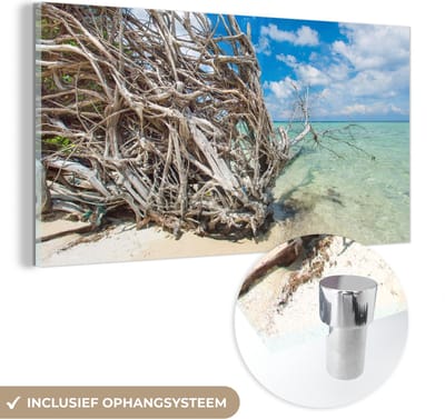 MuchoWow® Glasschilderij 40x20 cm - Schilderij acrylglas - Strand - Takken - Tropisch - Zee - Foto op glas - Schilderijen