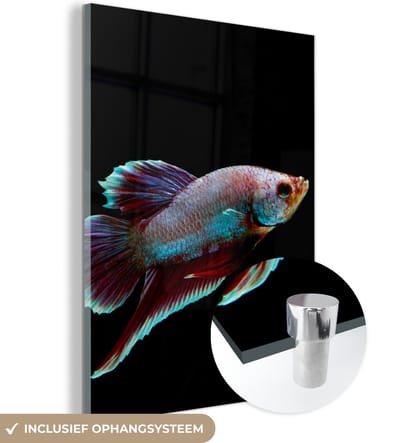 MuchoWow® Glasschilderij 120x160 cm - Schilderij acrylglas - Vis - Dieren - Licht - Foto op glas - Schilderijen