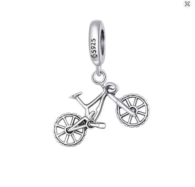 Bedel Fiets – Racefiets & MTB – 925 Zilver – RomyStones