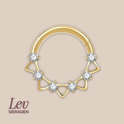 Lev Sieraden - Titanium premium neus ring - 6 zirkonia kroon segment ring - 1.2x8mm - Goud - segment ring - neuspiercing - tragus piercing - Oorpiercing