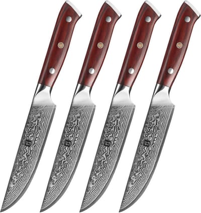Xinzuo steakmessen van Damaststaal | 4-delige set | Damascus Staal (67 lagen, VG10) | Xinzuo B13R Yu