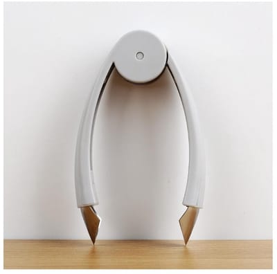 Dailygoods- Oogschiller Roestvrij Staal - Ananas Ontstrunker - Keukenhulp - Kookaccessoires - Ergonomisch - Praktisch Design - Fruitontstrunker