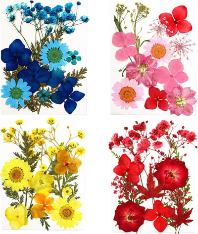 48 Stuks Natuurlijke Gedroogde Persbloemen voor Hars, Kaarsen en DIY Knutselwerkjes