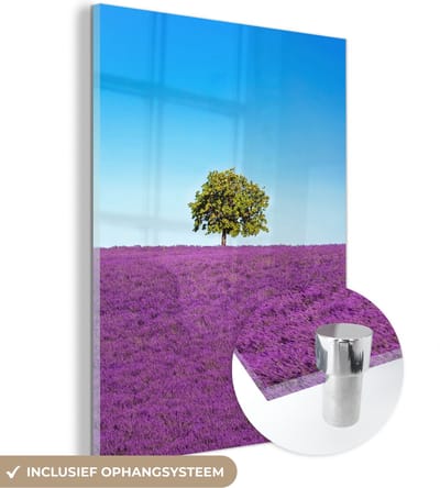MuchoWow® Glasschilderij 30x40 cm - Schilderij acrylglas - Boom - Paars - Lucht - Lavendel - Foto op glas - Schilderijen