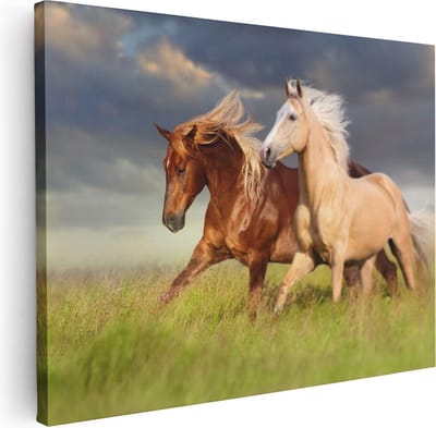 Artaza Canvas Schilderij Paard - 40x30 cm - Klein - Wanddecoratie Woonkamer - Muurdecoratie Dieren - Schilderijen Op Canvas