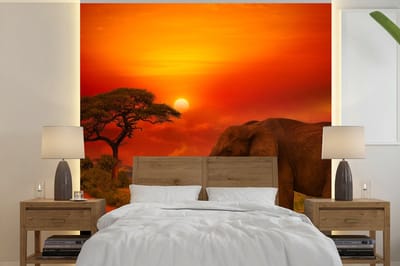 Behang - Fotobehang Olifant - Zonsondergang - Oranje - Savanne - Dieren - Breedte 220 cm x hoogte 220 cm