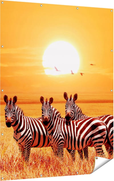 Gards Tuinposter Drie Zebra's bij Zonsondergang - 120x160 cm - Tuindoek - Tuindecoratie - Wanddecoratie buiten - Tuinschilderij