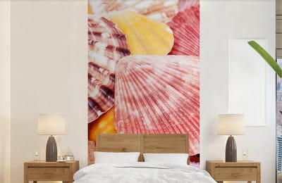 Behang - Fotobehang Schelpen - Rood - Geel - Strand - Zomer - Breedte 120 cm x hoogte 240 cm