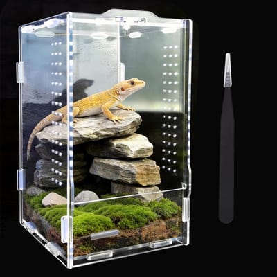 Dailygoods- Reptielenbox 360° - Acryl Terrarium 20x12x12 cm - Inclusief Tang/Thermometer - Transparant/Ademend - Geschikt voor Hagedissen/Spinnen