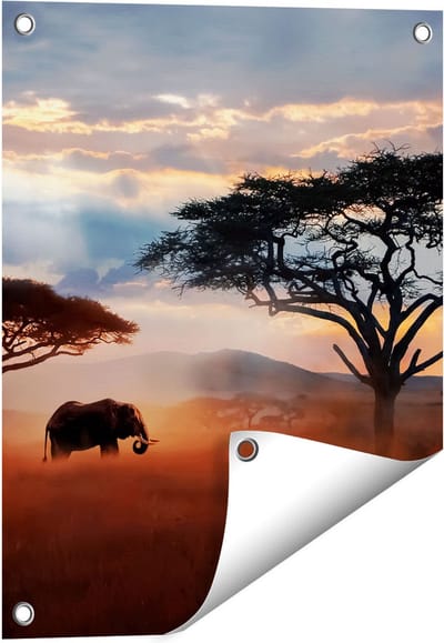 Gards Tuinposter Olifant in het Wild - Savanne - 40x50 cm - Tuindoek - Tuindecoratie - Wanddecoratie buiten - Tuinschilderij