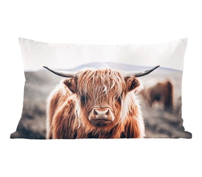 Sierkussens - Kussentjes Woonkamer - 50x30 cm - Schotse Hooglander - Berg - Hoorn