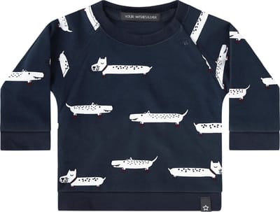 Your Wishes Sweatshirt Puppy in the Park - Sweater - Trui - Blauw - Jongens en Meisjes - Maat: 74/80