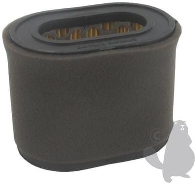 Greenstar 528711 filter en voorfilter voor Bernard-motoren