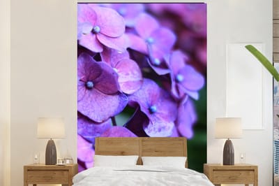 Behang - Fotobehang Bloemen - Paars - Hortensia - Natuur - Bloemblaadjes - Breedte 145 cm x hoogte 220 cm
