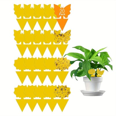 Livé® Fruitvliegvallen – 20 stuks Gele Kleefvallen voor Insecten